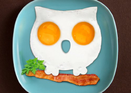 Owl Shaped Egg Mold