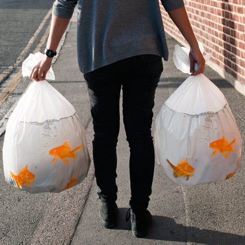 Goldfish-Bin-Bags