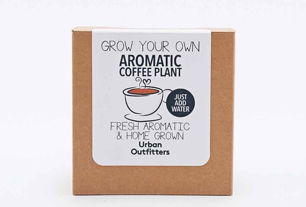Grow Your Own Coffee