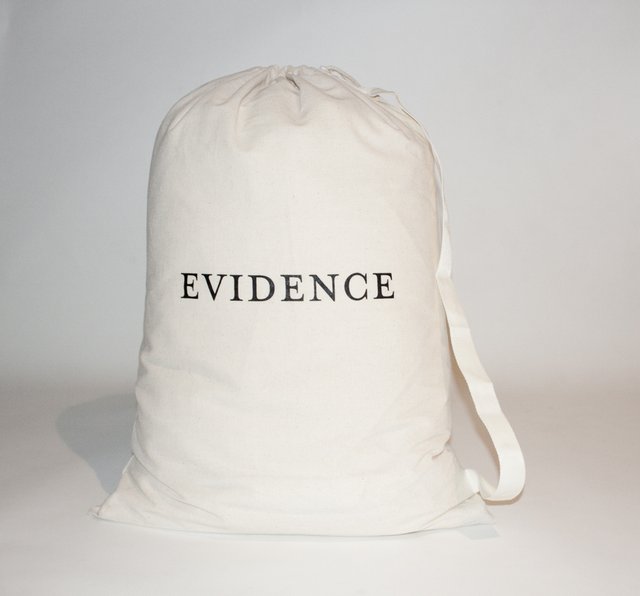 Evidence Laundry Bag